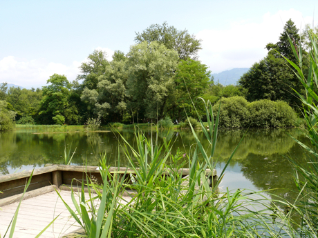 marais-de-montfort.jpg