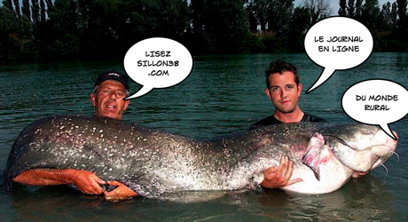 poisson-davril.jpg